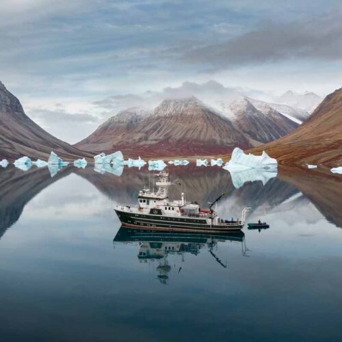 Kinfish Greenland fjords Small Ship Expedition
