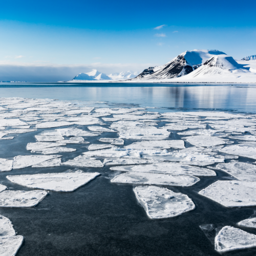 Fjord sea ice in Svalbard