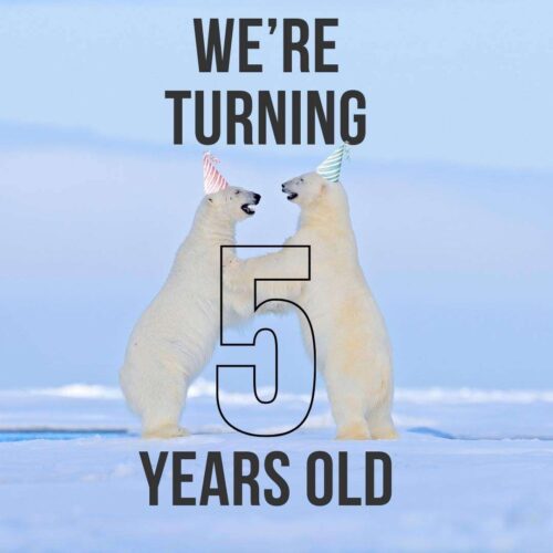 Secret Atlas Birthday Polar Bears